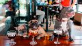 "Pet friendly": bares y restaurantes de Bahía Blanca admitirán el ingreso de clientes con sus mascotas