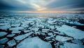 Cambio climático: el Ártico se calienta cuatro veces más rápido que el resto del planeta