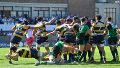 Rugby: Gimnasia y Esgrima de Rosario y Estudiantes de Paraná son finalistas del Torneo Regional del Litoral
