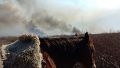 Así se combate el fuego en las islas: Entre Ríos ofreció un informe sobre los incendios en el Delta del Paraná