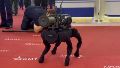 Rusia: crearon un perro robot que transporta y dispara lanzacohetes