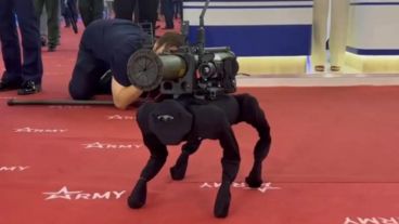 El perro robot M-81 mide 58 cm de largo, pesa 12 kg y es capaz de transportar entre 3 y 10 kg de carga