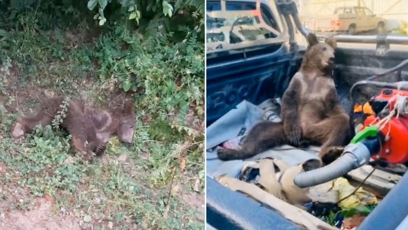 Los hospitales en Turquía ven docenas de casos de 