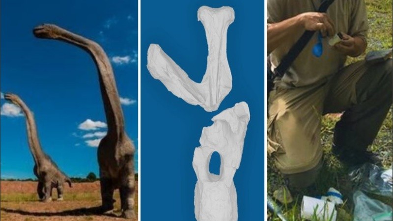 El hallazgo se hizo en 1943, durante unos trabajos de exploración de la Tropical Oil Company.