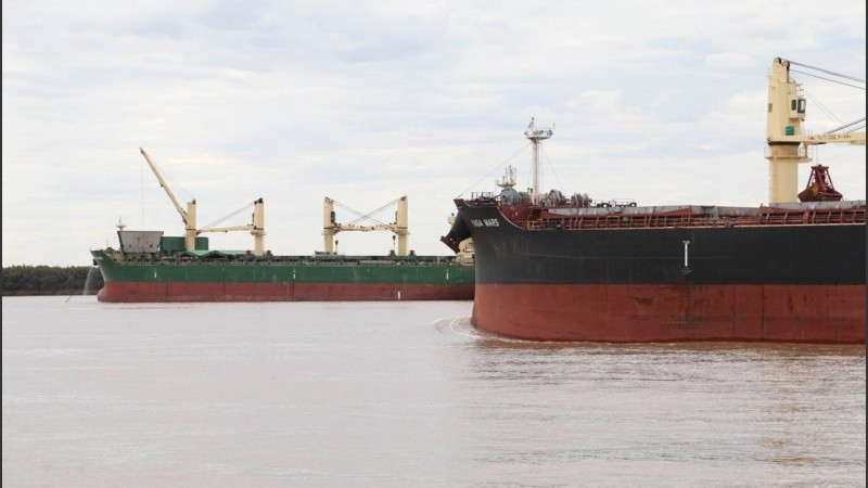 La bajante del Paraná complica las actividades económicas y afecta el ecosistema.