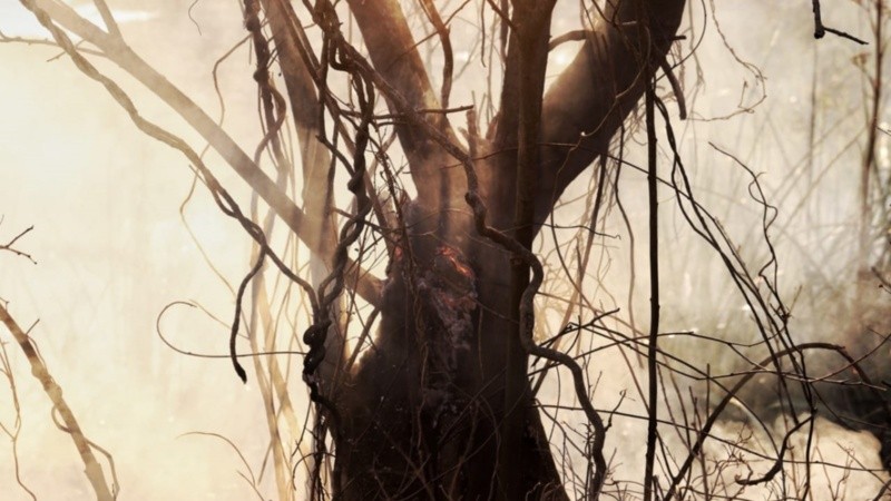 Un foco activo cerca de Victoria, este martes a la tarde.