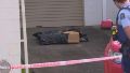 Nueva Zelanda: compraron dos valijas en una subasta y encontraron dos cadáveres adentro