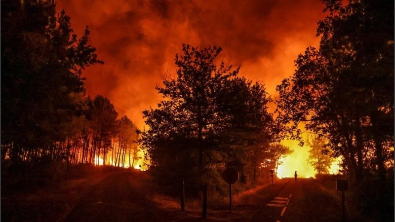 En las últimas dos décadas los incendios arrasaron anualmente unos 3 millones de hectáreas.