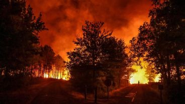 En las últimas dos décadas los incendios arrasaron anualmente unos 3 millones de hectáreas.