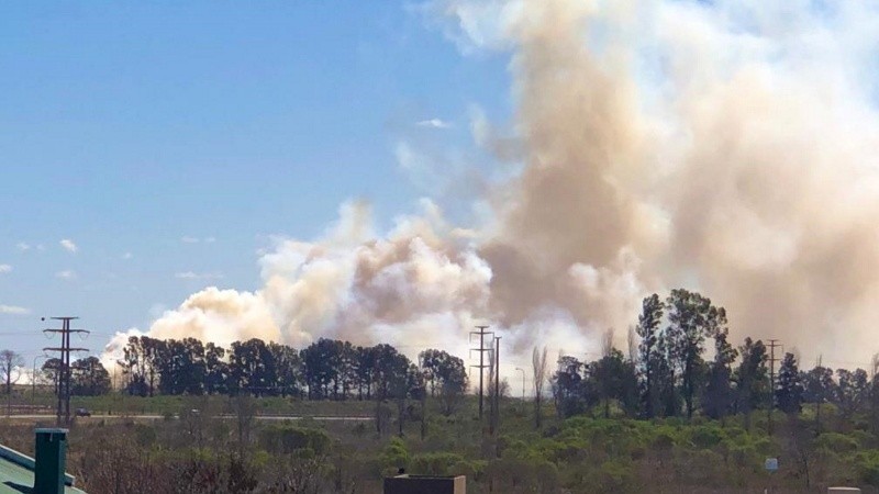 Se desconocen los motivos del incendio. 