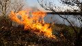 Fuego en las islas: presentaron un nuevo proyecto de Ley de Humedales