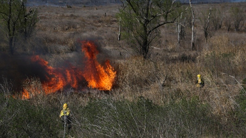 Bomberos realizaron un contrafuego y un cortafuego en el kilómetro 19 de la ruta 174.