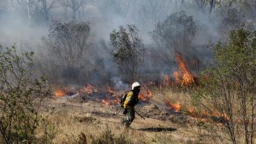 El trabajo de los bomberos este jueves por la tarde.