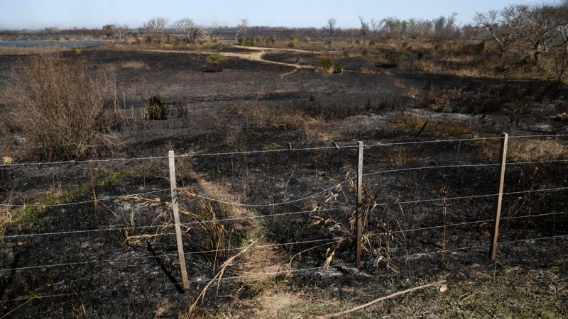 En los alrededores del KM 20 de la traza que une Rosario con Victoria se puede encontrar con esta postal.