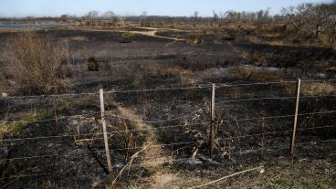 En los alrededores del KM 20 de la traza que une Rosario con Victoria se puede encontrar con esta postal.