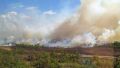 Denunciaron un incendio intencional dentro del Parque Nacional Islas de Santa Fe