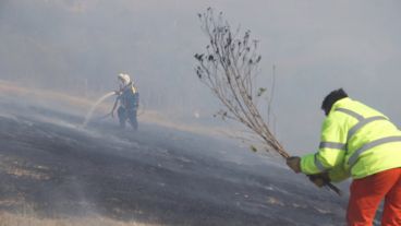 En las últimas quemas intervinieron los mismos isleños para sofocar el fuego.