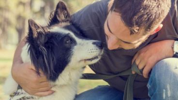 "Los resultados de la  investigación confirman que las lágrimas de los canes refuerzan la relación con sus dueños". 