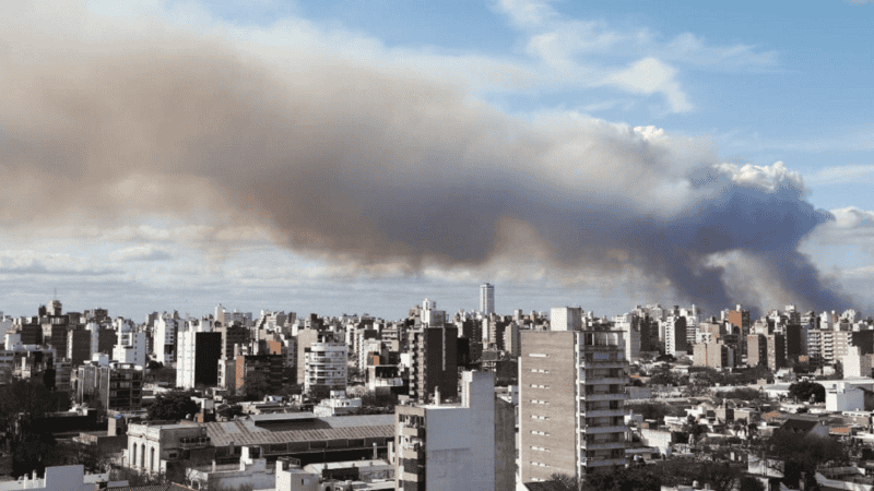 El humo en Rosario tuvo picos de contaminación 18 veces más alto que el límite mundial.