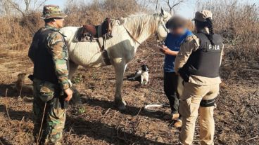 Los detenidos este martes dijeron que protegían sus colmenas.