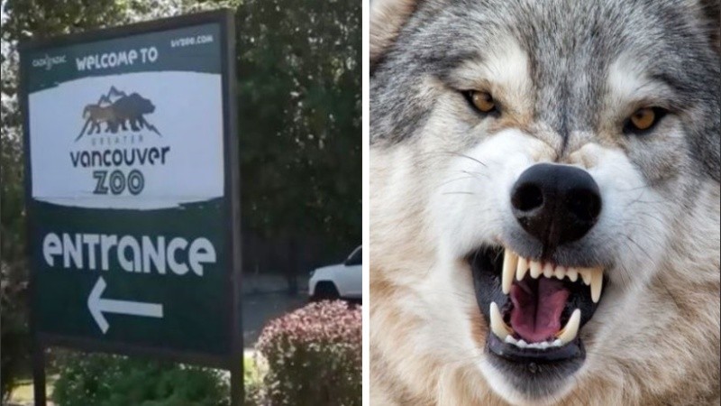 El zoológico está cerrado temporalmente al público.