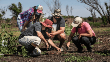 Los grupos de vegetación y artrópodos trabajaron juntos en la Isla de Los Mástiles desde 2020.
