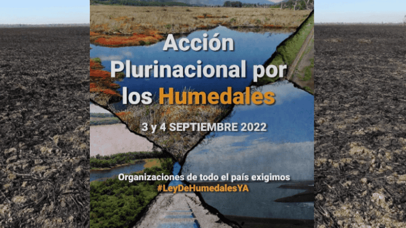 La doble jornada será este sábado 3 y domingo 4 en todo el país.