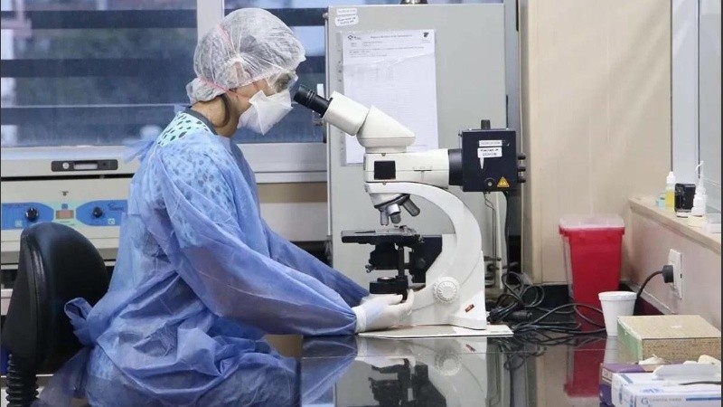 Un legislador tucumano adelantó que las muestras dieron 