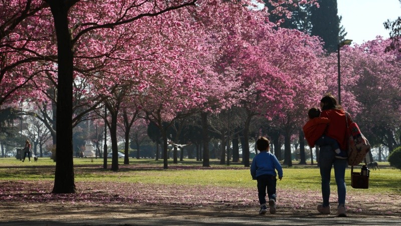 Mejor no guardar todo el abrigo aún.