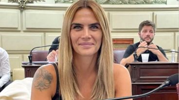 Granata calificó de "pantomima" el atentado y pidió la libertad del detenido por el ataque.