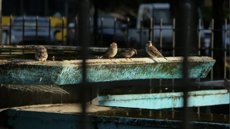 Más seco y caluroso, según el pronóstico del SMN.