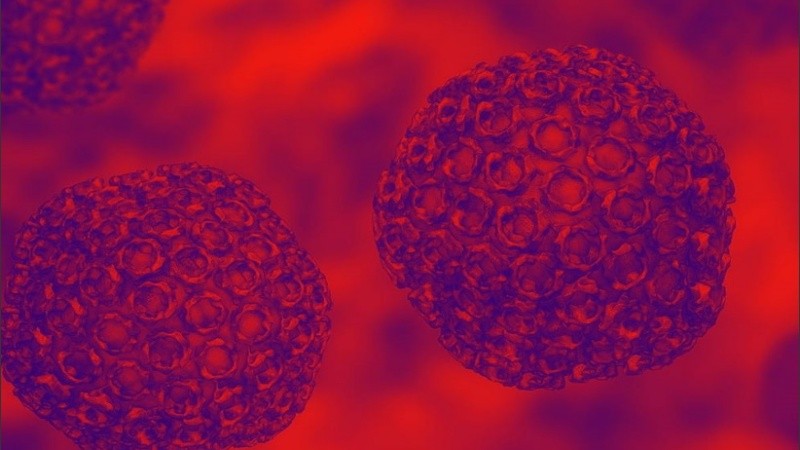 La investigación ilustró el riesgo para la salud que representan las diminutas partículas.