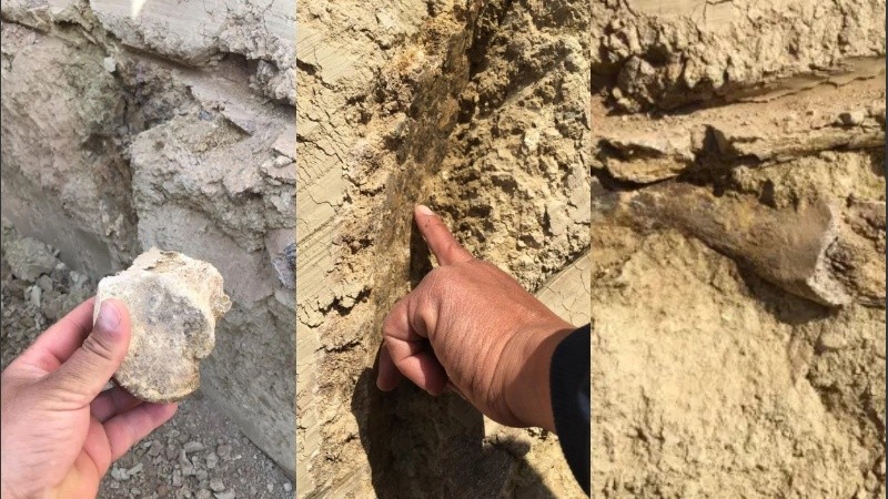 El hallazgo se produjo mientras movían el suelo en la costanera.