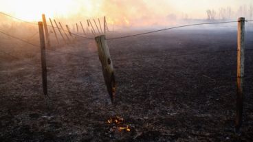 Uno de los terrenos a 400 metros de la Ruta 174 que une Rosario con Victoria.