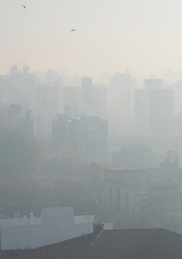 Tanto humo que tapó el plomo: desde el humedal, la Argentina al palo