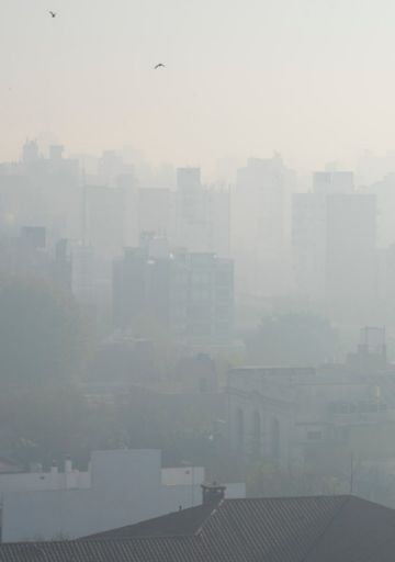 Tanto humo que tapó el plomo: desde el humedal, la Argentina al palo