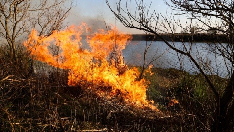 Fuego en las islas (Archivo Rosario3)