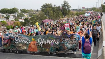 Miles de personas marcharon hacia el puente Rosario Victoria para decirle basta a las quemas en las islas.
