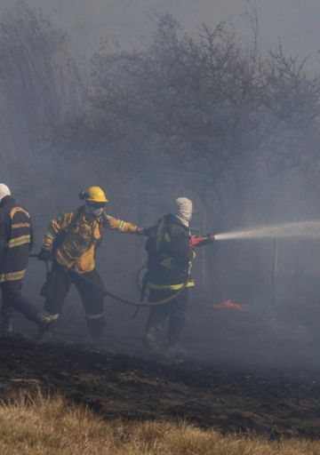 Incendios en las islas: el pico de las 30 mil hectáreas quemadas en este 2025 se dio en septiembre