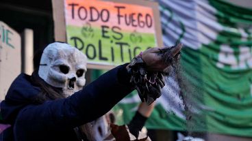 Manifestantes ambientalistas en el Congreso de la Nación.