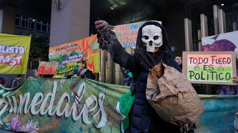 Manifestantes ambientalistas en el Congreso.