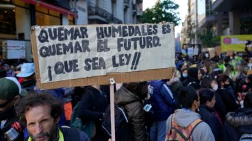 Manifestantes ambientalistas en el Congreso.