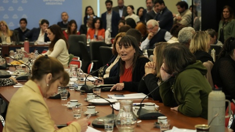 El debate comenzó la semana pasada con movilizaciones afuera del Congreso.