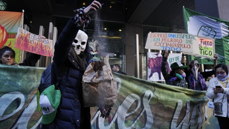 La marcha de los ambientalistas en reclamo de la ley de humedales.