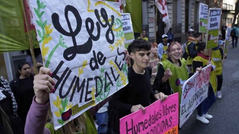 La marcha por la ley de humedales en el Congreso nacional.