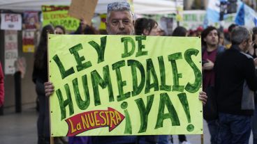 Los carteles reclaman "ley de humedales ya!".
