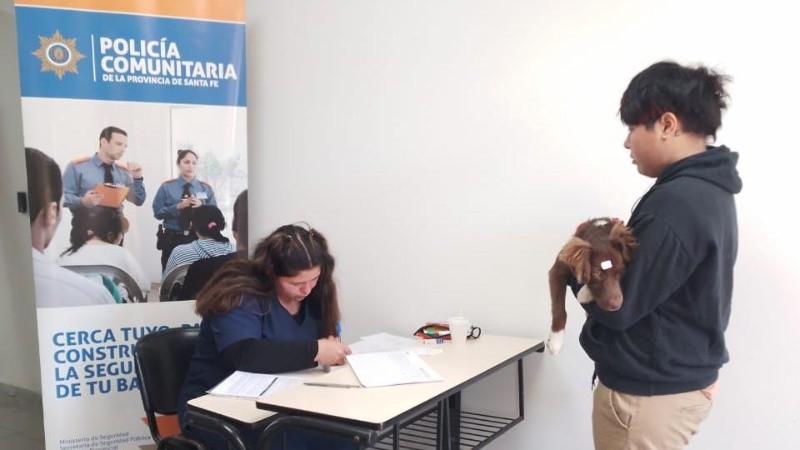 Estrella Federal 2010, donde se realizan las castraciones por orden de llegada.