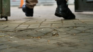 La bala sobre la vereda de Oroño en la puerta de los Tribunales Federales.