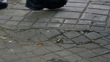 La bala sobre la vereda de Oroño en la puerta de los Tribunales Federales.