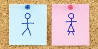 Ciccia cuestiona y apunta contra la teorización de cerebros rosas y celestes. 